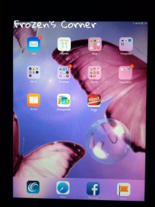 iPad